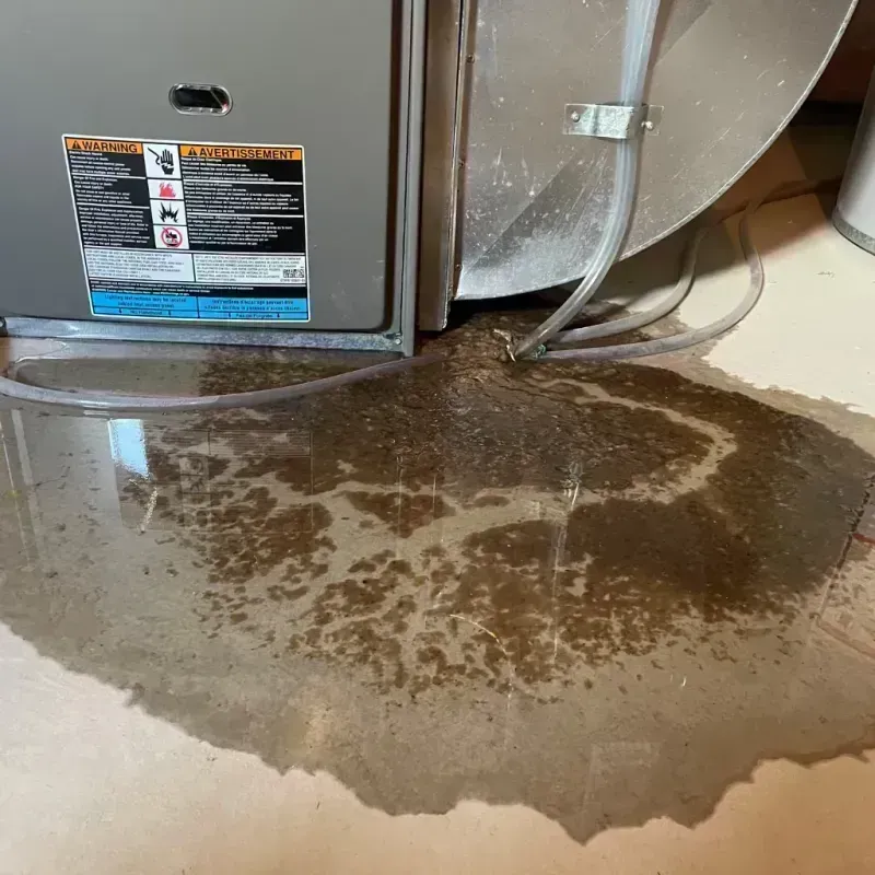 Appliance Leak Cleanup in Ohio County, KY